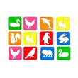Animal, flower and fruit stencils, model k1, set of 24 pieces